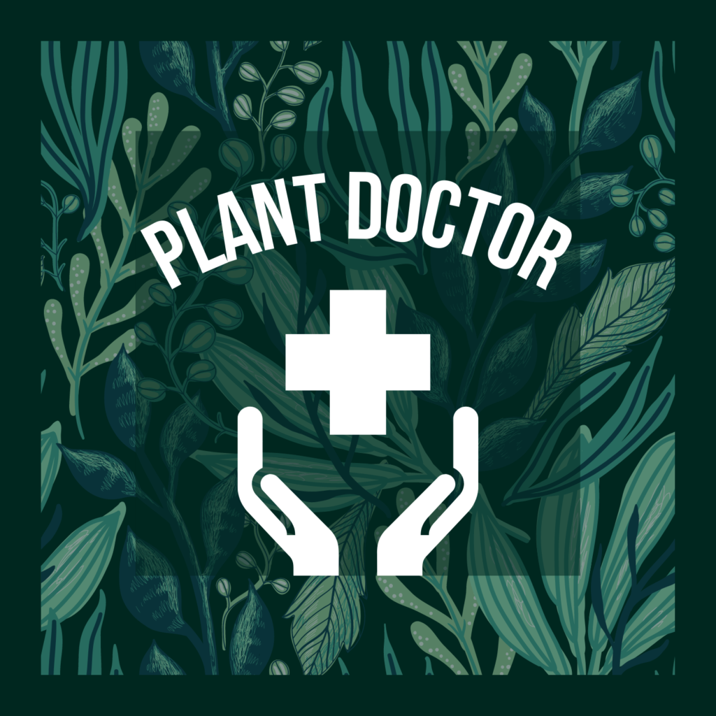Plant Doctor - YouTube